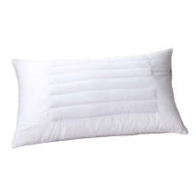 三极户外 TP2984  荞麦两用枕  40*65cm  白色/单个